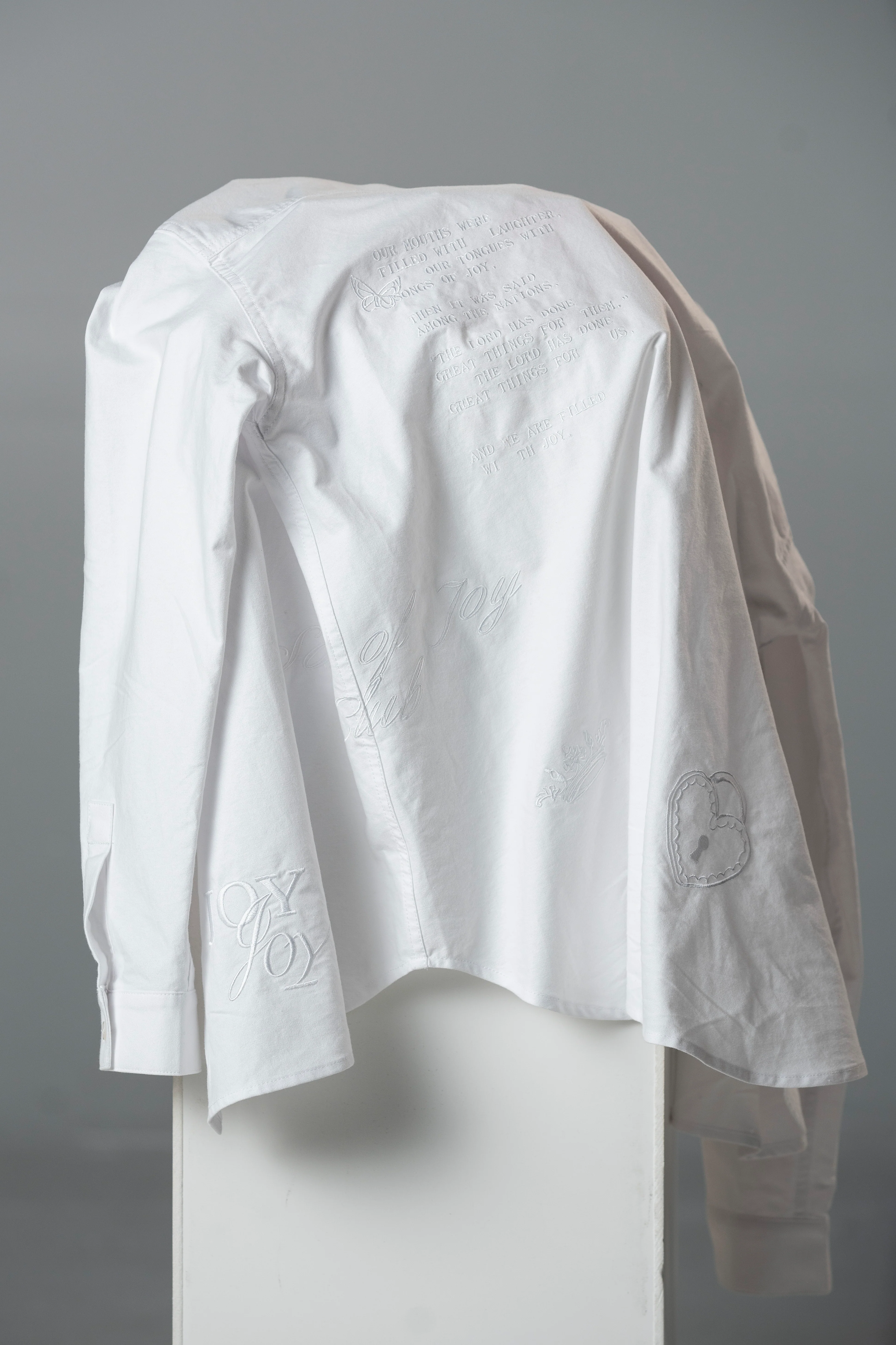 Oversized Embroidered Oxford - Image 13